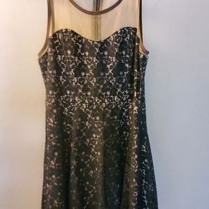 Sz Large Black Lace Overlay Skater Dress